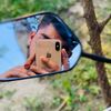 md.rafide.hossain