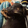 werner.maggie