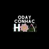 Odayconhac🌸