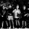 fratzola8