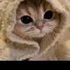 _dewhy27