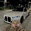 shayan_op3