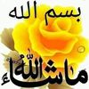 user4274280199467