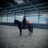 horse_paradise14