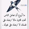 user9555104960247