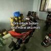 chesa667