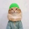 mahid_here