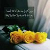 ome.raide