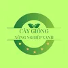 Cây Giống Xanh Xanh