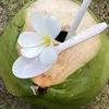 kwi.qui