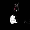 user40195804757536