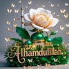 alhamdulillah.536
