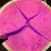 Pink Melon
