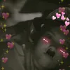 milliedontwantyourwilly