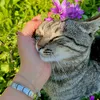 fatima_12_158