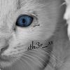 sth3r_xx