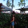 ella.amelio