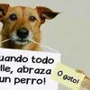 josefina.dulzura