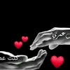 zanb1769854325