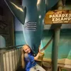 catelovesharks