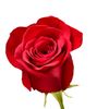 sherr9878