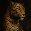 habiba.maher13