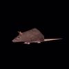 lvl9rat