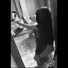 _bunniu
