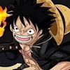 teamonepiece341