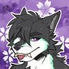 qwq_659
