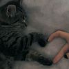 azizz_77