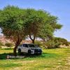 ahdanm5