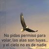 claudiaportiz