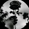 evelyn.8236