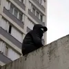undergroundlifestyle420