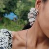kanxi_chy2