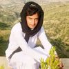 saeedsalam.wazir