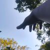 shovaxtha1