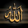 engymohamed9733