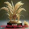 md.fayez.md.fayez3
