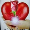 user306618132206
