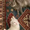 مَـريــم .