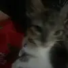 danevictorcpensoy