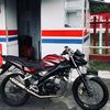 user63287484263052rijza