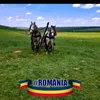 ionu.mihalache64
