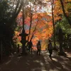 izayoi_izayoi