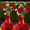 hashim777783