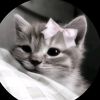 simplelifestlyle.2