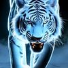 jay.saputra42