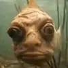 yeuloli_
